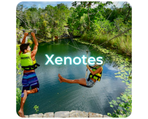 xenotes